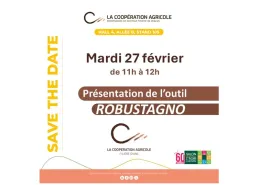 STD Robustagno