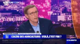 Dominique Chargé