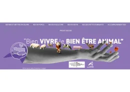Site internet BEA CA