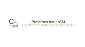 protéine actu 24
