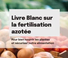 couverture livre blanc
