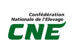 Logo CNE