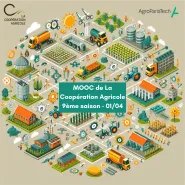 Mooc LCA 2024