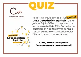 QUIZ PA 2024