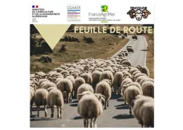 Feuille de route filières lainières