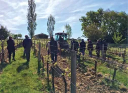 BORDEAUX FAMILIES