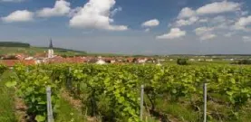 CHAMPAGNE NICOLAS FEUILLATTE