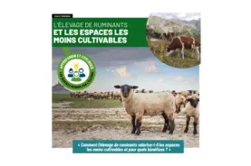 CNE espaces moins cultivables