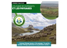 Fiche CNE élevage et paysages