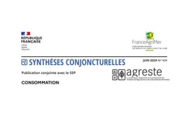 Synthèse conjoncturelles FAM 2023