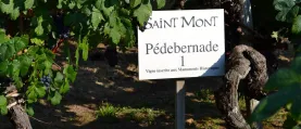 Plaimont