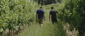 Terre de Vignerons