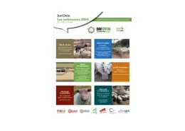 webinaires innovin 2024