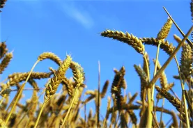 Solutions coopératives