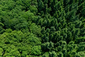 Solutions coopératives