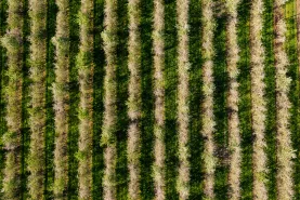 Solutions coopératives