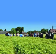 Solutions coopératives