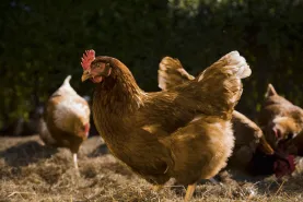 Solutions coopératives