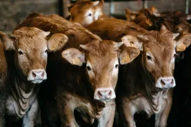 Solutions coopératives