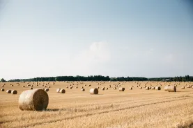 Solutions coopératives