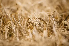 Solutions coopératives