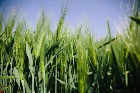 Solutions coopératives