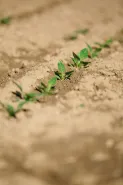 Solutions coopératives
