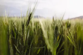 Solutions coopératives