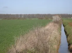 Solutions coopératives