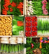 Solutions coopératives