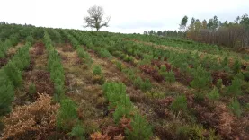 Solutions coopératives