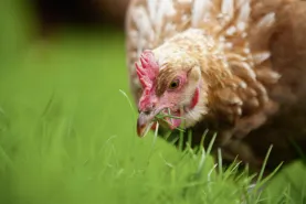 Solutions coopératives