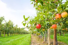 Solutions coopératives