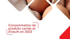 Bilan produits carnés 2024
