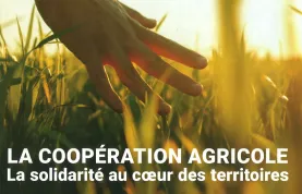 Solidarité au coeur des territoires