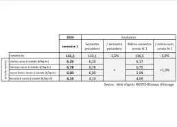 Indicateurs prix de revient viande bovine 1et semestre 2024