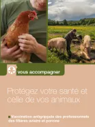 masa vaccin