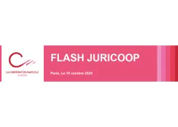 Flash Juricoop