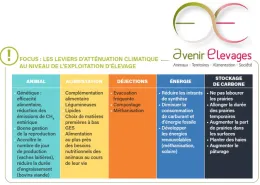 Les leviers d'atténuation climatique au niveau de l'exploitation d'élevage
