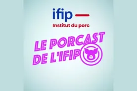 Porcast de l'ifip