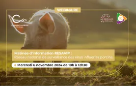 journee resavip 2