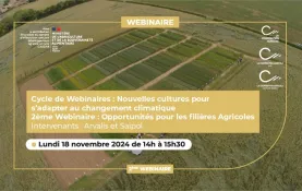 Changement climatique