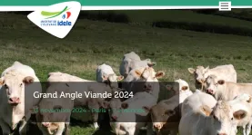 Grand angle viande 2024