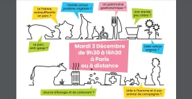 Journée IFIP 2024