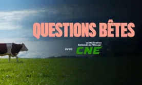 questions betes TF1
