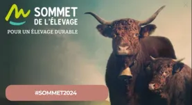Sommet2024