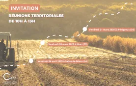 Territoriales 2025