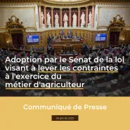 Visuel du Senat