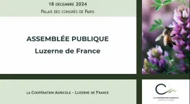 ag luzerne 2024