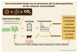 Bioéconomie et coopératives agricoles